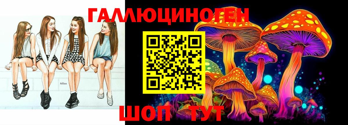 где продают наркотики  Галлюциногенные грибы Psilocybe  Вход с VPN  Кольчугино  Галлюциногенные грибы Magic Shrooms 